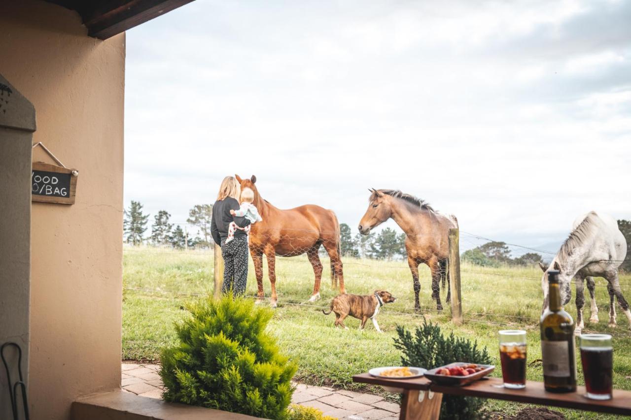 Villa Fernhill Guest Farm Knysna Exterior foto