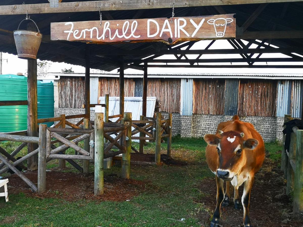Villa Fernhill Guest Farm Knysna Exterior foto