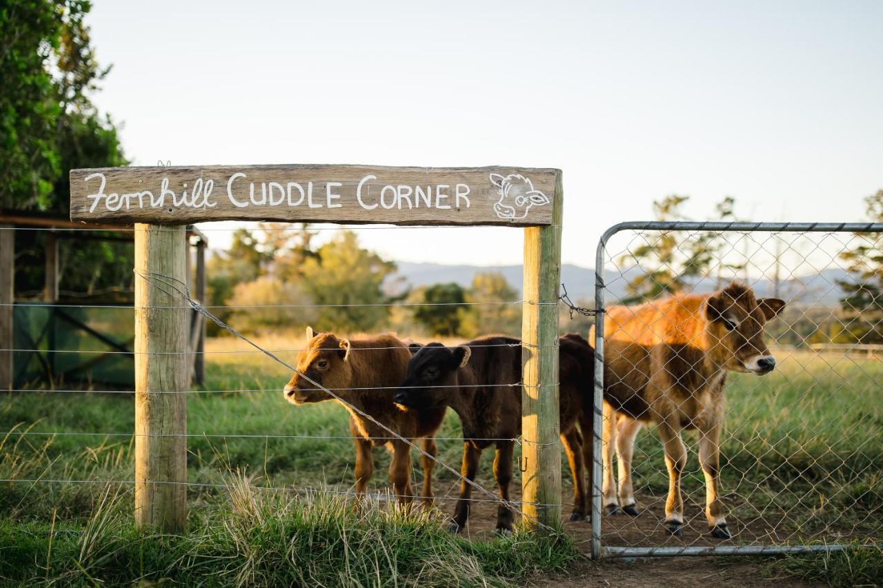 Villa Fernhill Guest Farm Knysna Exterior foto