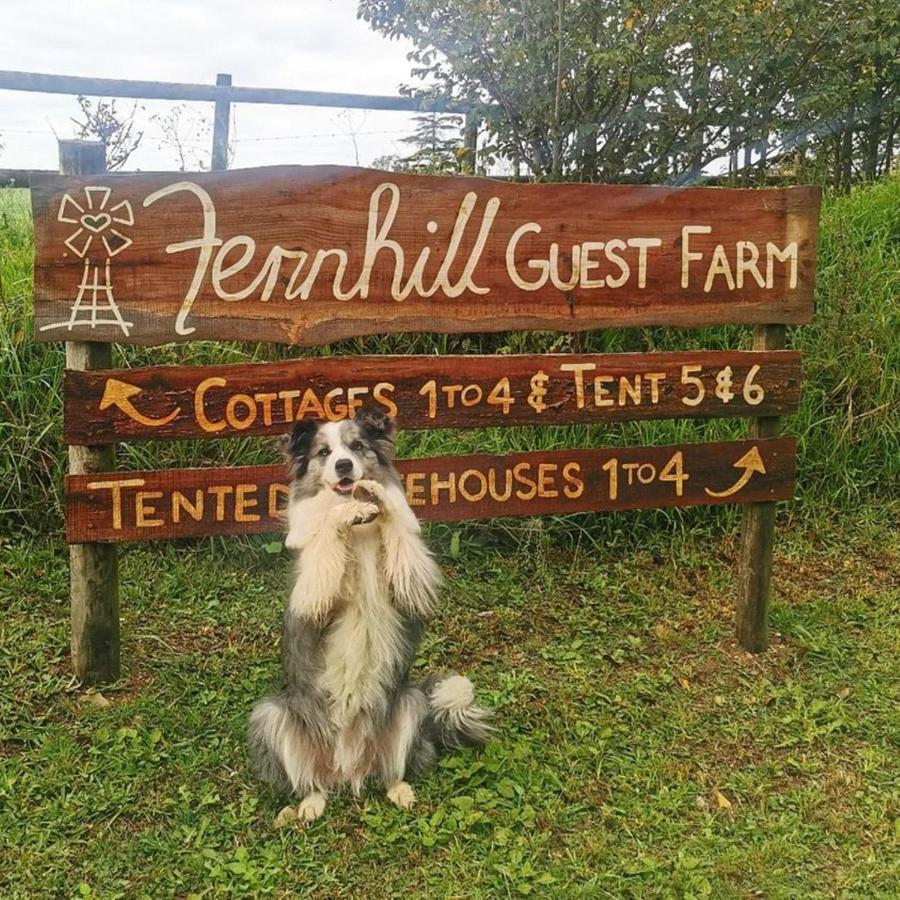 Villa Fernhill Guest Farm Knysna Exterior foto